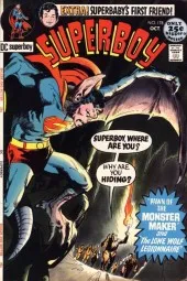 Superboy #178