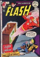 The Flash #212