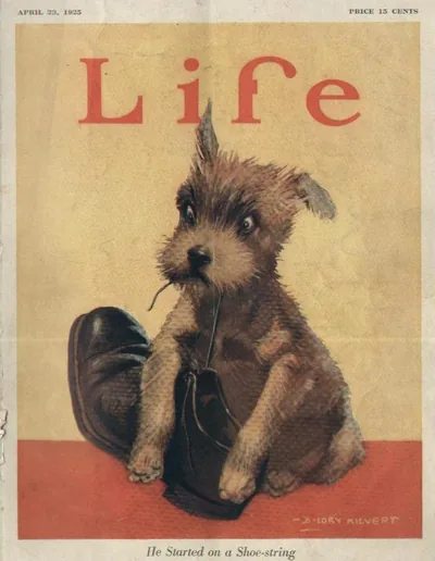 Life #2216