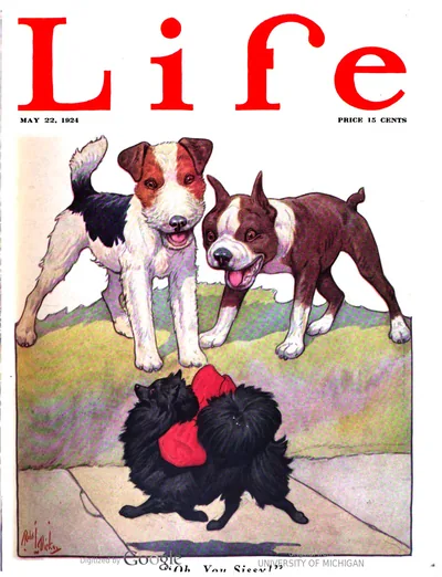 Life #2168