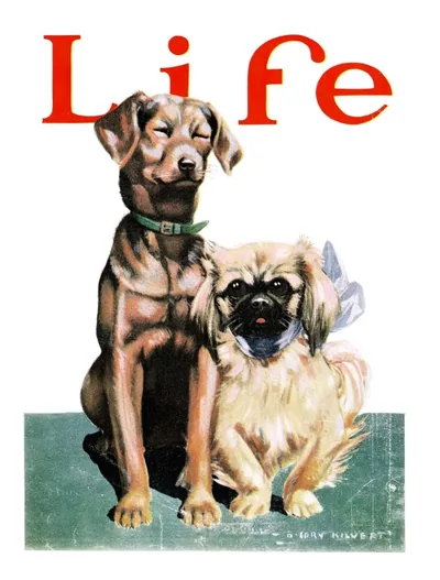 Life #2136