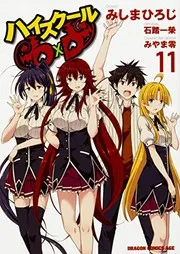 ハイスクールD×D 11 (manga)