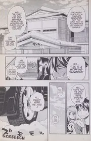 Monster musume