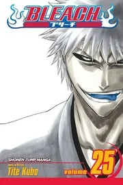 Bleach.