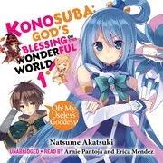 この素晴らしい世界に祝福を! あぁ、駄女神さま (light novel)