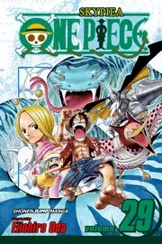 ONE PIECE 29