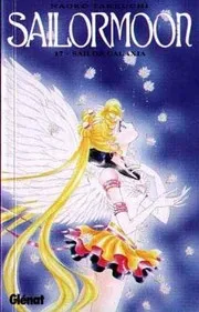 Sailormoon 17