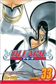 Bleach Volume 33