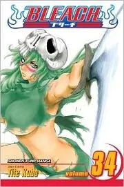 Bleach Volume 34