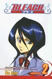 Bleach