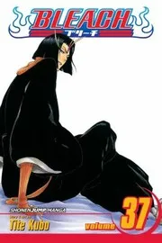 Bleach Volume 37
Bleach Paperback
