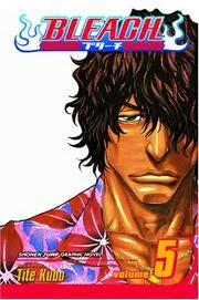 Bleach, Volume 5