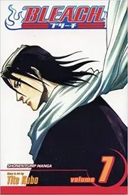 Bleach vol 7