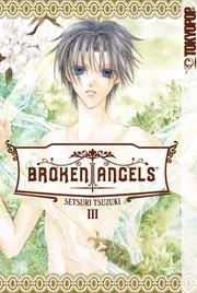 Broken Angels Volume 3 (Broken Angels)