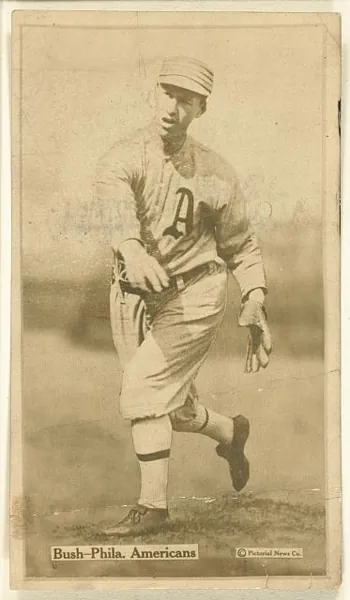 Joe Bush