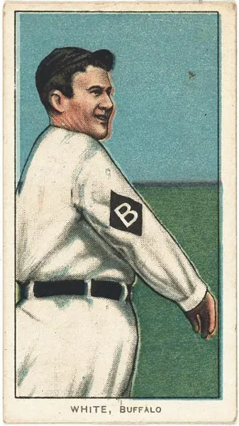 Jake White