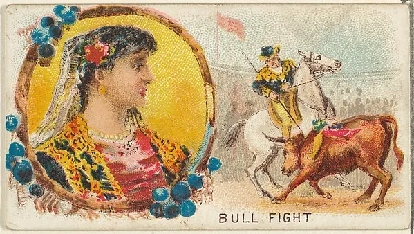 Bull Fight