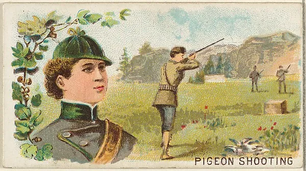 Pigeon Shooting