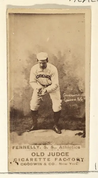 Fennelly