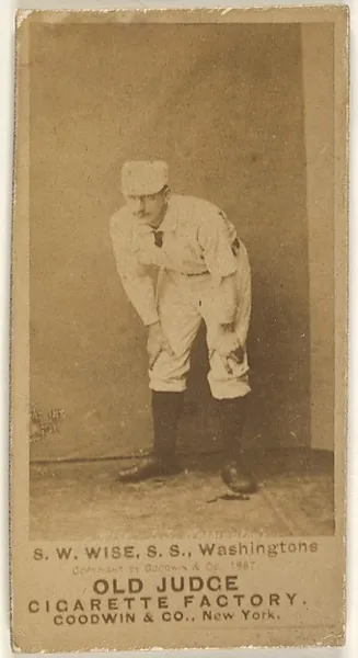 Samuel Washington "Sam" Wise