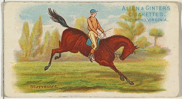 Stuyvesant