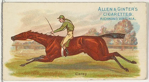 Carey
