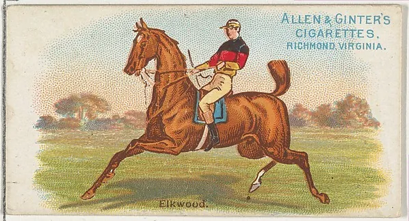Elkwood