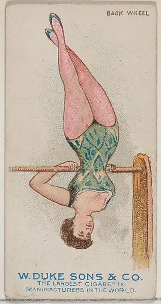 Back Wheel