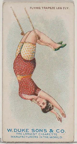 Flying Trapeze Leg Fly