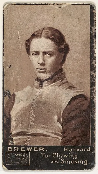 Brewer