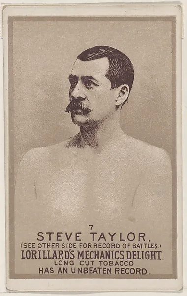 Steve Taylor